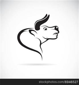 Vector image of an bull head on a white background
