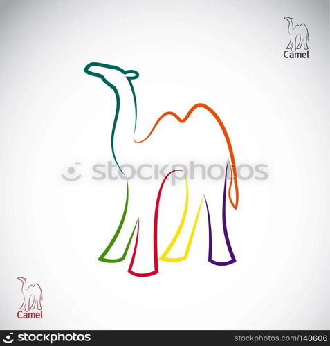 Vector image of an camel on white background