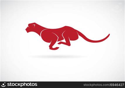 Vector image of an cheetah on white background