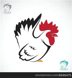 Vector image of an chicken on white background