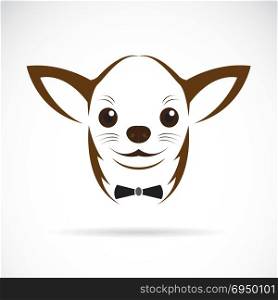 Vector image of an chihuahua dog on white background
