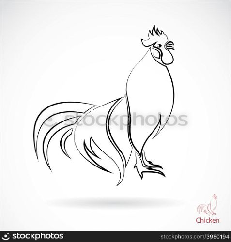 Vector image of an cock on green background