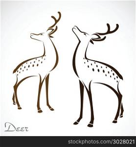 Vector image of an deer . Vector image of an deer on white background