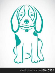 Vector image of an dog beagle on white background