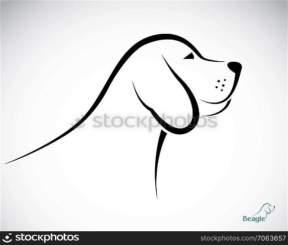 Vector image of an dog beagle on white background