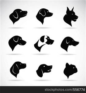 Vector image of an dog head on white background