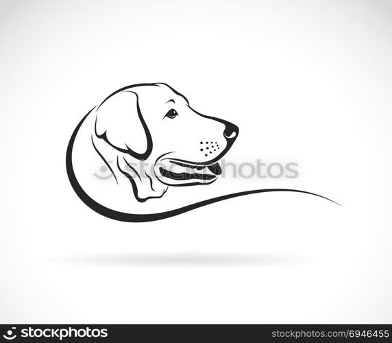 Vector image of an dog labrador head on white background