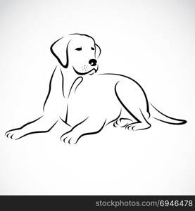 Vector image of an dog labrador on white background