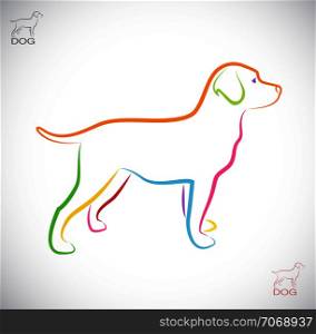 Vector image of an dog labrador on white background