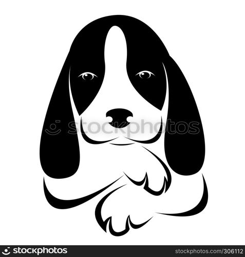Vector image of an dog on white background