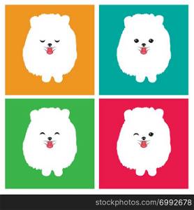 Vector image of an dog pomeranian on white background