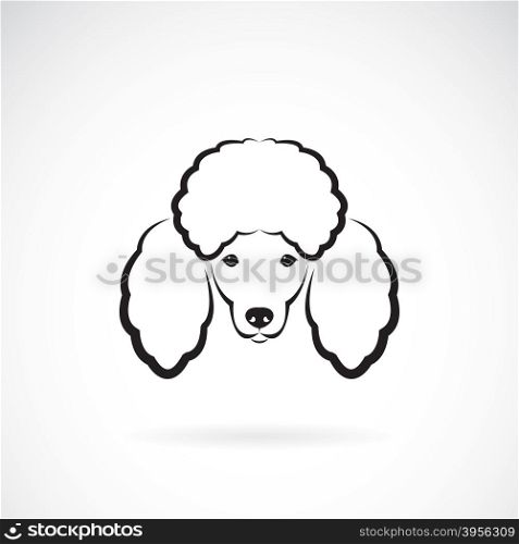 Vector image of an dog poodle face on a white background