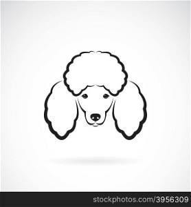 Vector image of an dog poodle face on a white background