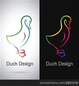 Vector image of an duck design on white background and black background, Logo, Symbol
