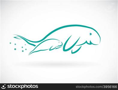 Vector image of an dugong on white background
