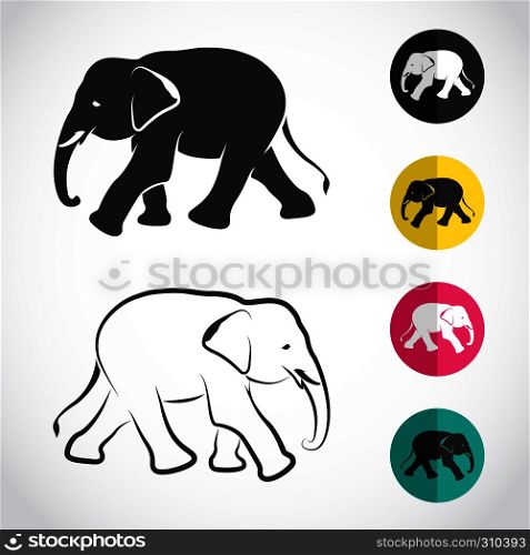 Vector image of an elephant on white background