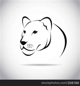 Vector image of an female lion head on white background