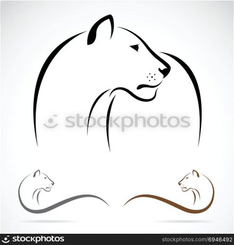 Vector image of an female lion on white background.