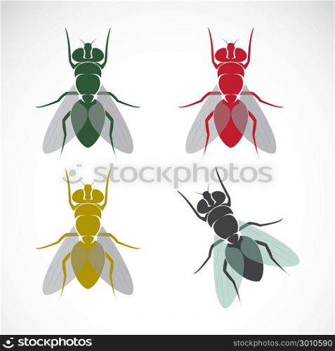 Vector image of an fly on white background