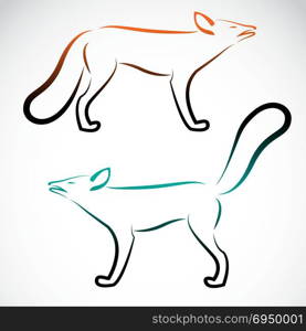 Vector image of an fox on white background