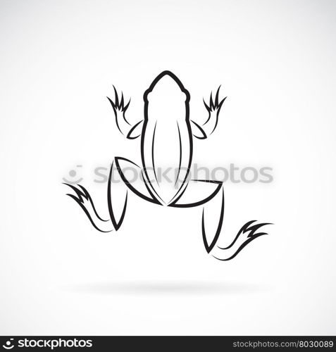 Vector image of an frog design on white background.