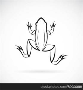 Vector image of an frog design on white background.