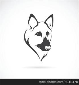 Vector image of an german shepherd face on white background