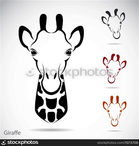 Vector image of an giraffe head on white background