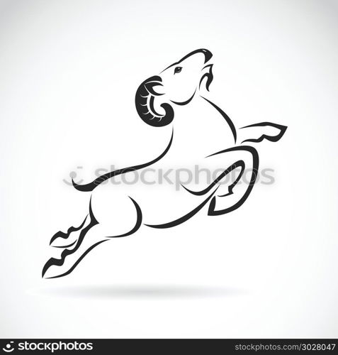 Vector image of an goat design on white background