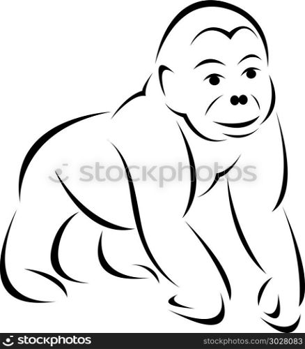 Vector image of an gorilla on white background