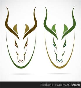 Vector image of an head impala and horns.