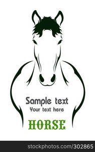 Vector image of an horse , illustration - vector