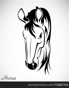 Vector image of an horse on white background