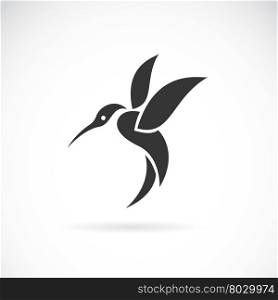 Vector image of an hummingbird design on white background