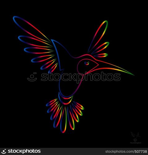 Vector image of an hummingbird on black background