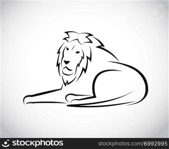 Vector image of an lion on white background