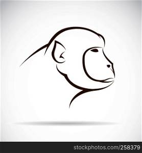 Vector image of an monkey face on white background