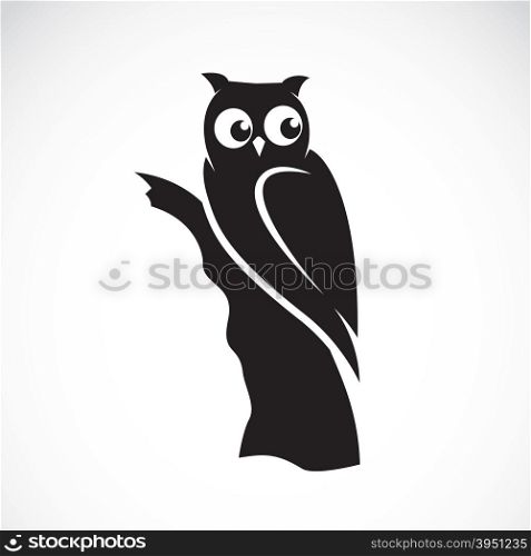 Vector image of an owl on white background