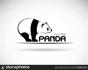 Vector image of an panda design on a white background