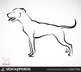 Vector image of an pitbull dog on white background