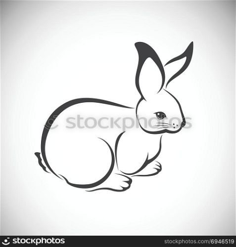 Vector image of an rabbit on white background
