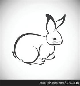 Vector image of an rabbit on white background