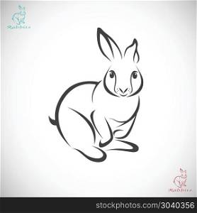 Vector image of an rabbit . Vector image of an rabbit on white background