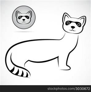 Vector image of an raccoons . Vector image of an raccoons on white background