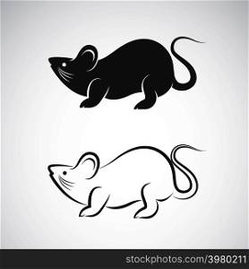 Vector image of an rat design on white background
