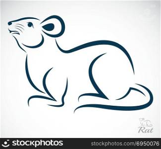 Vector image of an rat on white background