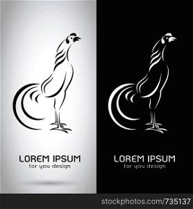 Vector image of an rooster design on white background and black background, Logo, Symbol, cock,chicken