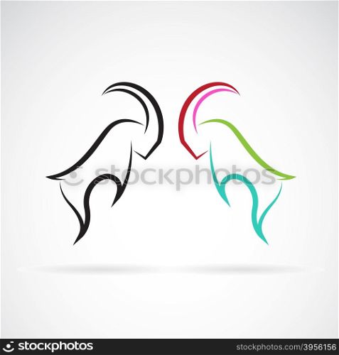 Vector image of an Sheep rams fighting on white background