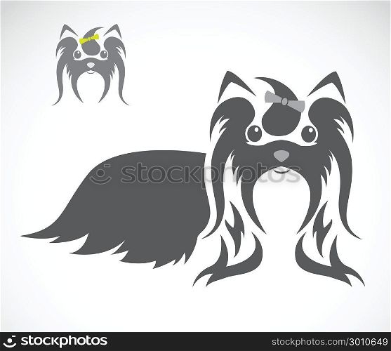 Vector image of an shih tzu dog on white background