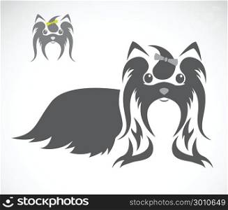 Vector image of an shih tzu dog on white background